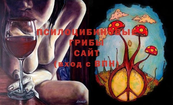 mdpv Осташков