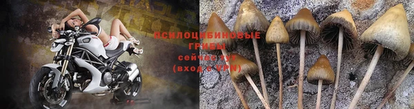 марки nbome Осинники